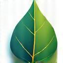 Eco leaf icon